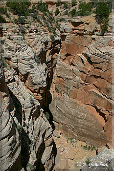 Blick in den Canyon